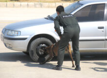 کشف ۱۲۰ تن مواد مخدر در کردستان