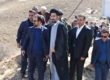 غرس 23 هزار اصله درخت توسط محکومین کیفری کردستان