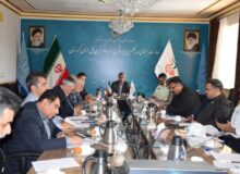 کنترل عوامل بروز جرائم خشن از مهم‌ترین راه‌های پیشگیری از خشونت است