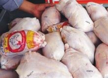 کشف ۳۱ تن مرغ قاچاق در گمرک باشماق