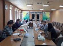 نهادینه کردن فرهنگ کار در خانه و محیط آموزشی الزامی است