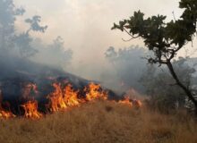 تشکیل پرونده قضایی برای آتش سوزی کوه آبیدر سنندج 