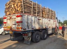 بیش از ۳۰ هکتار اراضی ملی در دهگلان به بیت‌المال بازگشت