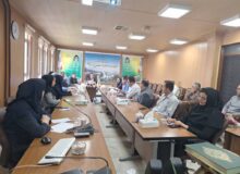 ۲۲ هزار و ۴۶۲ طرح اشتغال‌زایی در سامانه ملی رصد کردستان به ثبت رسید