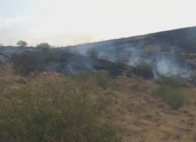 ۱۵ هکتار از مراتع منطقه حفاظت شده عبدالرزاق سقز در آتش سوخت