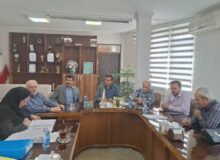 بررسی وضعیت مشاغل سخت و زیان آور تعدادی از واحد های کارگری در کردستان