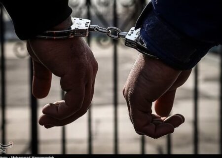 دستگیری سارقان زورگیر تلفن همراه در سنندج