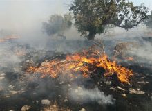 دو حریق در عرصه‌های طبیعی سروآباد پیش از گسترش مهار شد