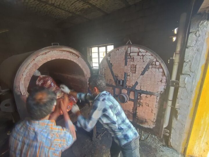 کشف یک تن و ۲۰۰ کیلوگرم گوشت اسب در بیجار