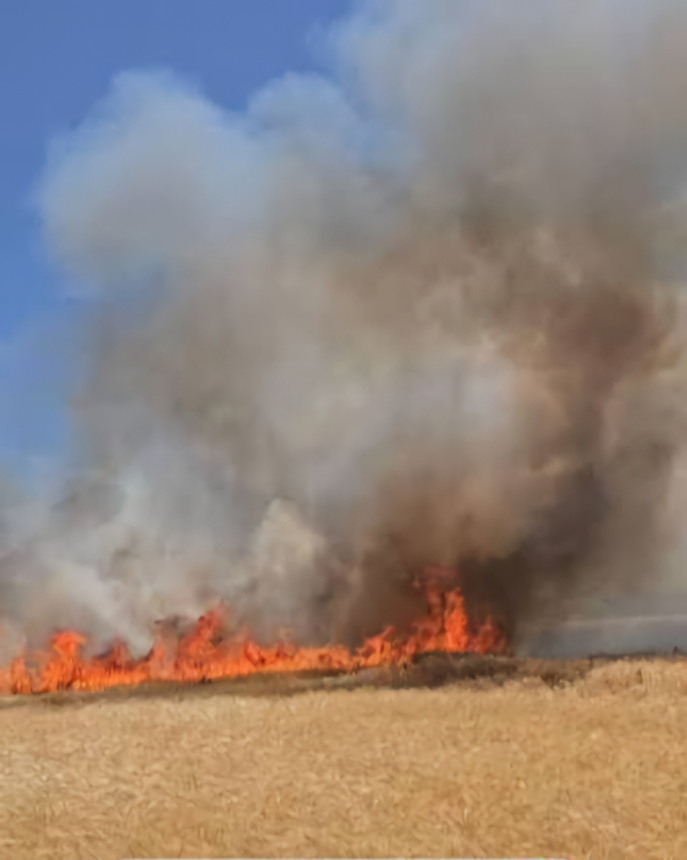 مهار آتشسوزی ۵ هکتار از مراتع روستای سرواله دهگلان